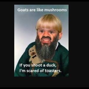 Meet your Posher, Conner